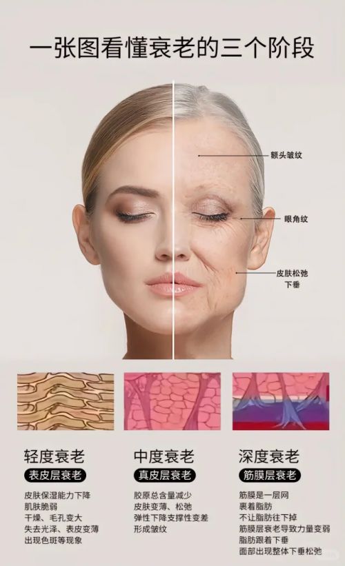 些品牌好？抗老去皱纹护肤品：抗皱紧致！j9九游会真人游戏第一抗衰老护肤品有哪